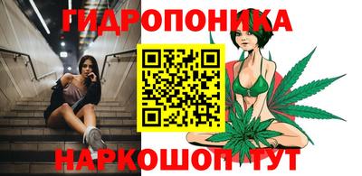 apvp Шелехов