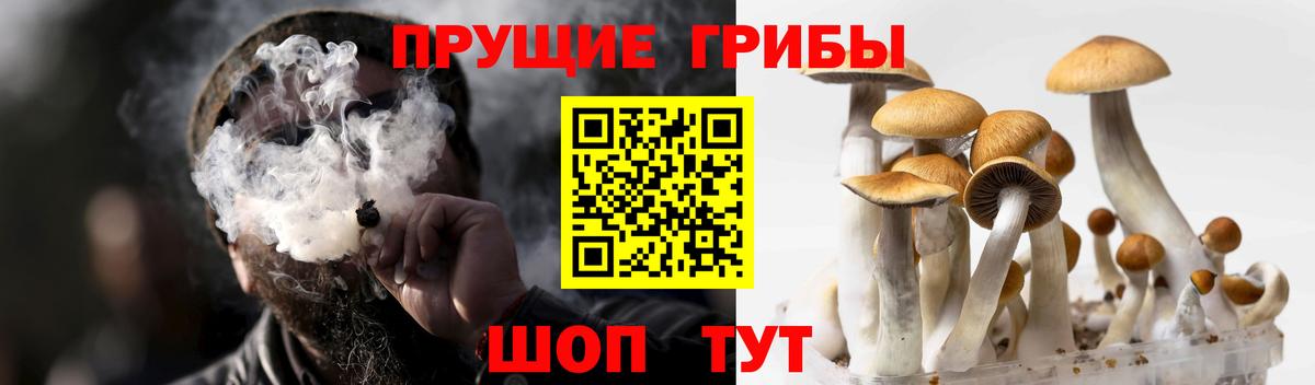 Лысьва  цены наркотик  Вход с VPN  Псилоцибиновые грибы Cubensis  Псилоцибиновые грибы MAGIC MUSHROOMS 